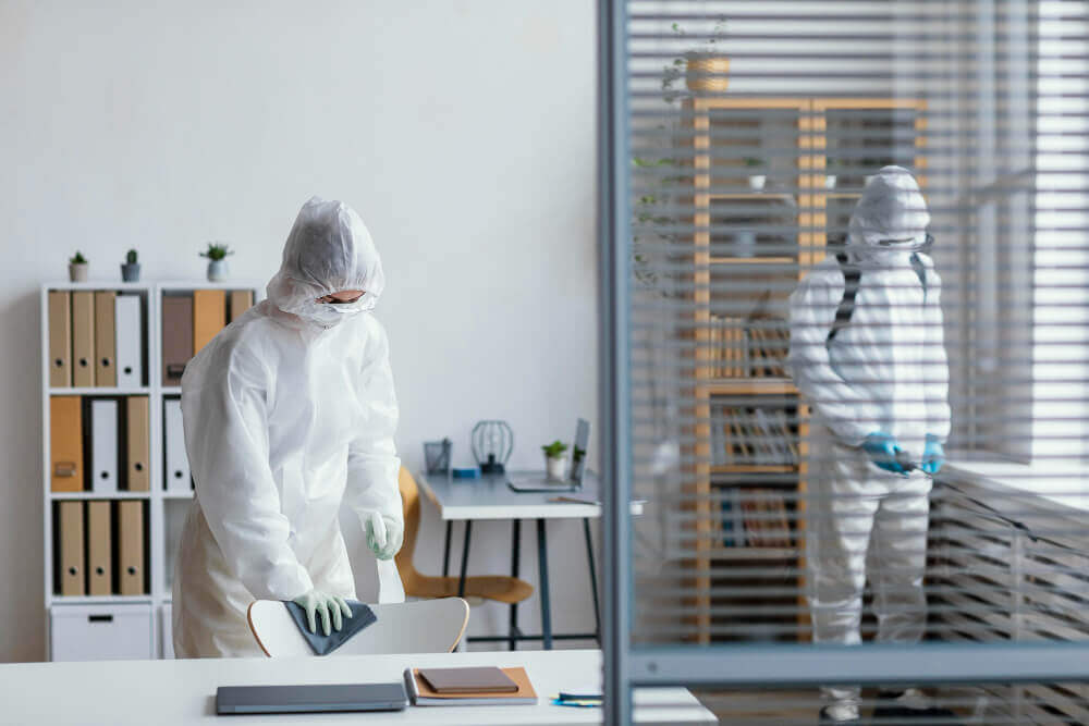 The Hidden Dangers: Health Risks Associated with Common Dubai Pests